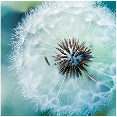 DIY 5D Diamond Painting by Number Kits Full Drill Rhinestone Embroidery Cross Stitch Pictures Arts Craft for Home Wall Decor,Dandelion - 13.5x13.5 inches(35x35cm)