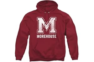 LOGOVISION Official Collegiate Distressed Primary Logo Adult Pullover Hoodie Collection