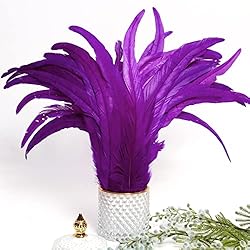 THARAHT 20PCS Rooster Coque Tail Feathers Bulk