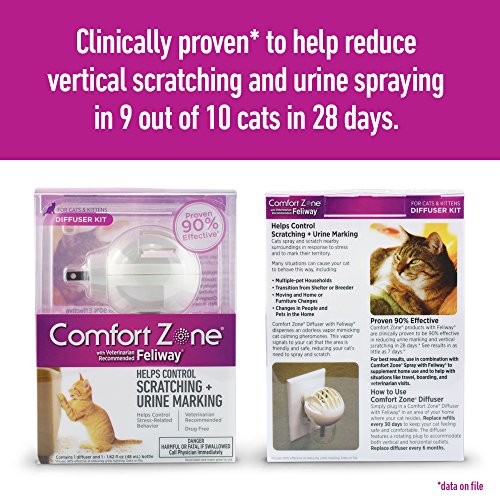 petface house scratcher