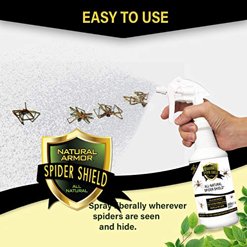 Spider Killer & Repellent Spray Powerful Peppermint Formulation Kills