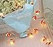 LJM 20 Led Battery Operated Lovely String Lights for Indoor Outdoor Decoration for Baby Boy Girl Birthday (Lady Bug)