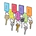 Lucky Line Key Tag with Flap, Split Ring & Paper Insert for Labeling, Key Organization & Identification, Assorted Colors, 25 Pack (6050025)
