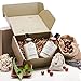 SPRING ONLY - Real, Organic Face And Body Bath Set. The Only pH 5.5 Balanced Shower Set For Sensitive Skin. Natural Bath Gift Sets For Women. Comes With Real Wild Soapberries - Unscented