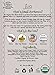 Jiva USDA Organic Black Hair Dye 100 Gram - Chemical Free & Ecocert Certified