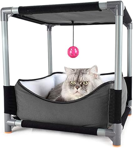 cat toys that hang from the ceiling