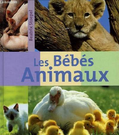 Les Bebes Animaux Stoepel Beatrix Amazon Com Books