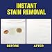 Biz On-the-Go Stain Eliminator