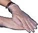 GREAT GLOVE Vinyl Food Service  Glove
