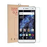 RBEIK BLU Studio Selfie 2 Screen Protector [Tempered Glass] - Premium Tempered Glass Screen Protector for BLU Studio Selfie 2 Unlocked Smartphone with 9H Hardness Anti-Scratch Feature [1pcs]