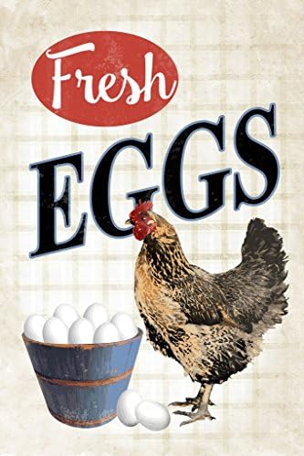 Fresh Eggs Chicken Art Print Poster 12x18