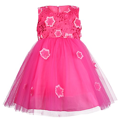 OKIDSO Princess Dress Party Costumes Flower Girl Dress Tulle with Embroidery 3D Flowers Sleeveless Design