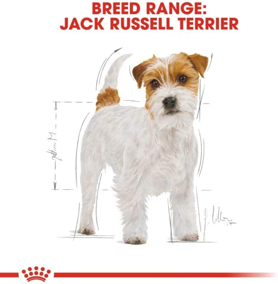 Royal Canin Cibo Secco Per Cane Jack Russel 7500 Gr Amazon It Prodotti Per Animali Domestici