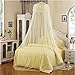 Elegant Lace Bed Canopy Mosquito Net White by GREEN FABWOOD