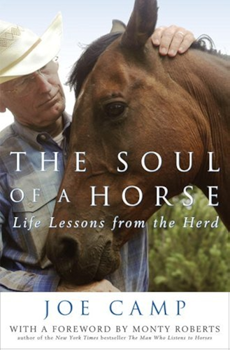 Download The Soul of a Horse: Life Lessons from the Herd (English Edition) PDF