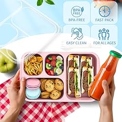 Bento Box for Adults and Snack Containers Set of 4