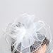 L'ivresse White Birdcage Net Wedding Bridal Fascinator Face Veils Feather Flower with Hairpins (WHITE)