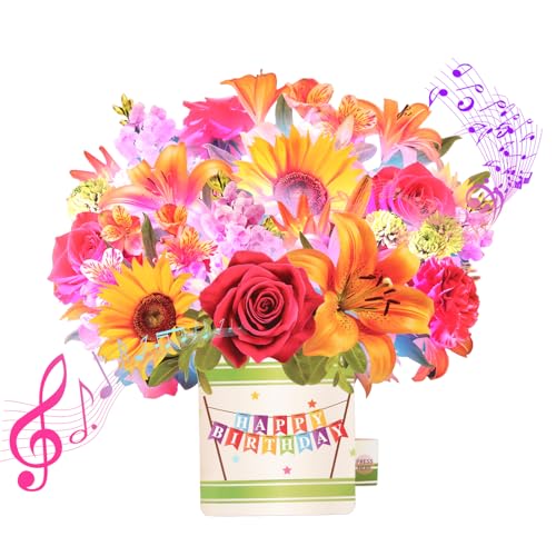 Yinqing Birthday Cards