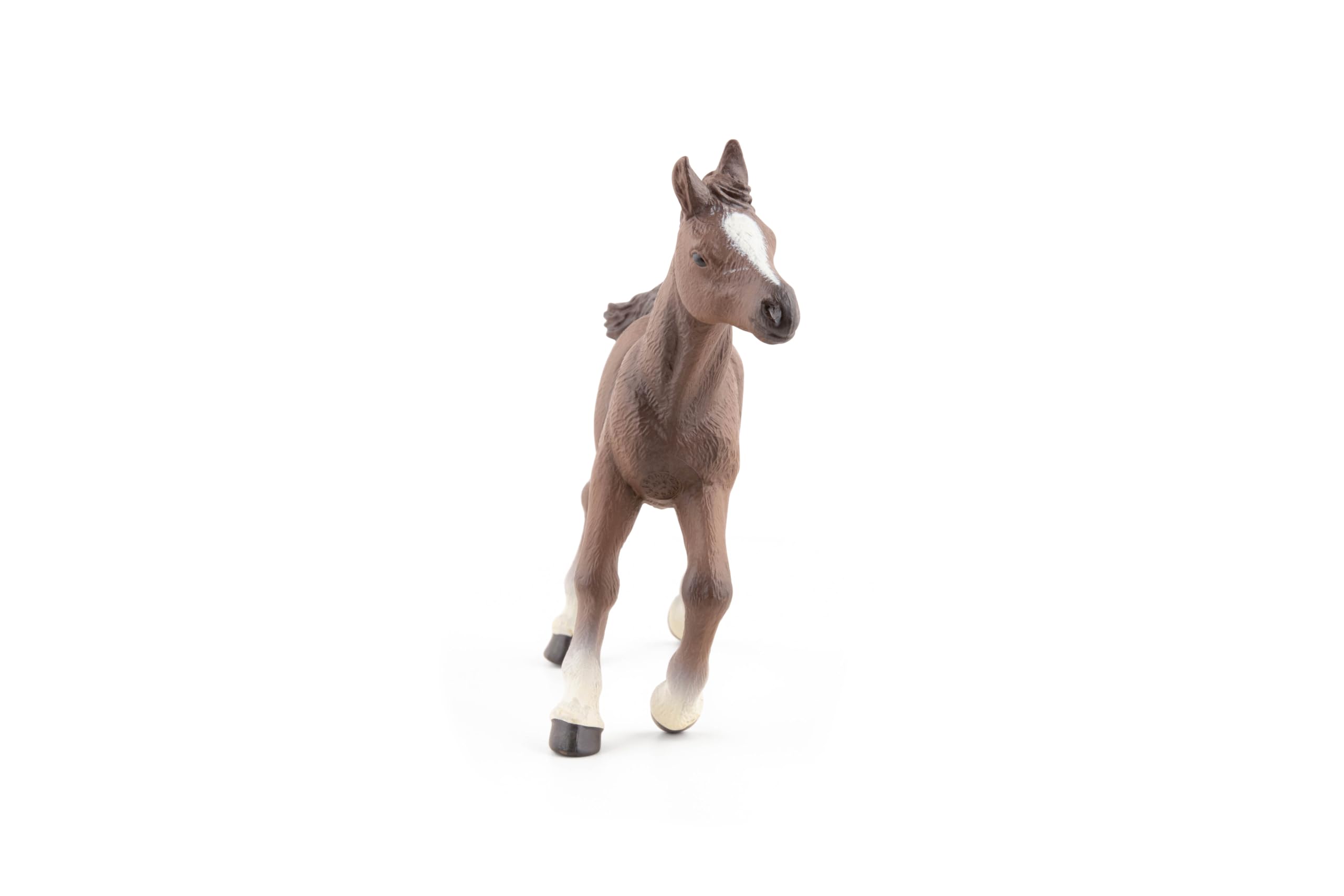 Papo Anglo-Arab foal
