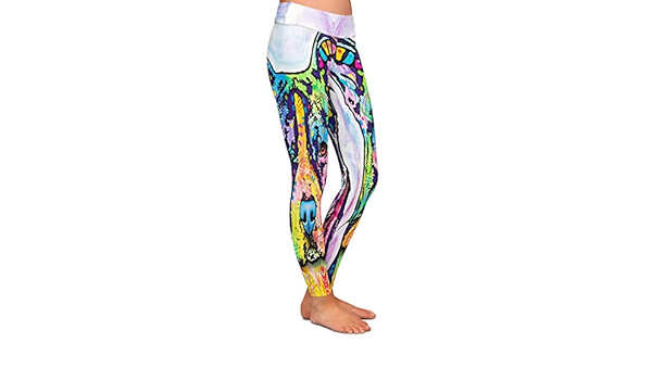 pitbull leggings amazon