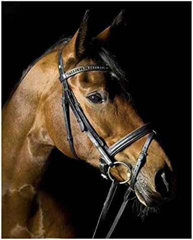 Horse Throw Blanket, Race Horse Portrait on a Black Background on a Micro Mink Throw, Super Soft, 48 x 60