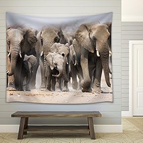 Large Herd of Elephants Approaching Over The Dusty Plains of Etosha - Fabric Wall Tapestry Home Decor - 51x60 inches