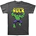 Men's Marvel Comics The Hulk Incredible T-shirt (XX-Large/Grey)