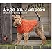 Dogs in Jumpers: 15 practical knitting projects by Redhound for Dogs