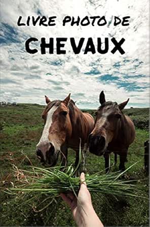 Amazon Com Livre Photo De Chevaux Livre D Images Relaxantes Pour Seniors Et Bien Plus Parfait Pour Les Personnes Souffrant De Demence Ou D Alzheimer French Edition Ebook Legall Sarah Books