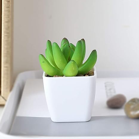 Amazon 人工観葉植物枯れない プレ美術館 ホーム 庭園 キッチン オフィス 喫 パーティー 人工観葉植物 オンライン通販