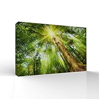 signwin-Canvas Wall Art-Sunshine in The Forest -Canvas Prints Home Artwork Decoration for Living Room,Bedroom - 12x18 inches