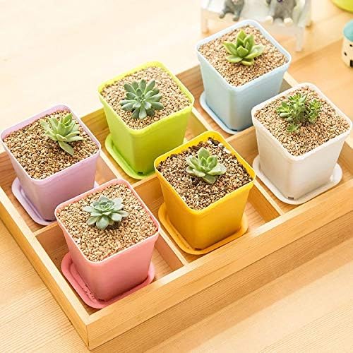 Coudre Mini Pots Planter with Wooden Base, Set of 6 (Mix of Colours)