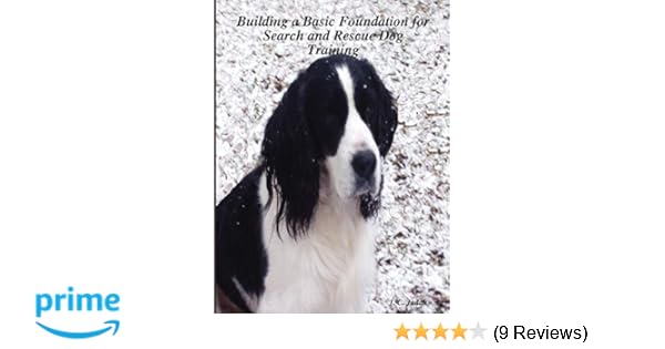 Building A Basic Foundation For Search And Rescue Dog
