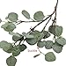 Supla 3 Pcs Faux Eucalyptus Leaves Spray Artificial Seeded Silver Dollar Eucalyptus Leaves Branches in Grey Green 25.5