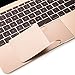 CaseBuy Palm Rest Cover Skin with Trackpad Protector for New Macbook 12 Inch A1534 with Retina Display (2015/2016 NEWEST VERSION)(Golden)