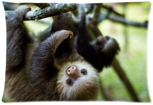 Animals Cute Sloth Hanging In The Tree Design Zippered pillowcase Pillowslip Decorate Sofa Bed Pillow case cover(20*30 inches)