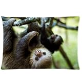 Animals Cute Sloth Hanging In The Tree Design Zippered pillowcase Pillowslip Decorate Sofa Bed Pillow case cover(20*30 inches)