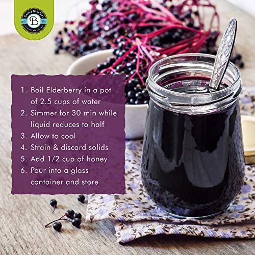Elderberry Syrup Kit Organic Make 12 24oz Naturally Boost