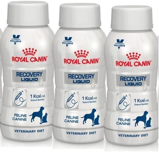 royal canin recovery liquid cat