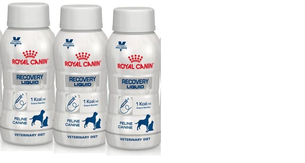 【専用】 CANIN Recovery Liquid 8oz Royal Canin Veterinarian Diet - Recovery Convalescence