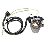 ElectroSport ESL990 Lighting Stator CR125R