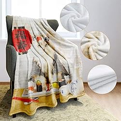 YISUMEI 40" x 50" Blanket Comfort Warmth Soft Plush