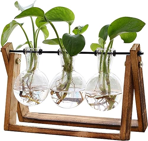 Sepper Estación de propagación de Plantas, Terrario con Soporte Madera Jarrón Hidropónica Florero Cristal, Jarrones Vidrio Macetas con 3 Bombillas para Interior Decoración Mesa Oficina Casa Jardín