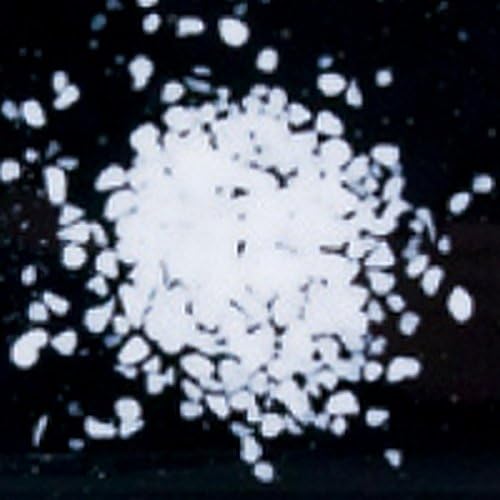 1 Lb Bullseye Fine Frit - 90 Coe - Opaque White