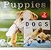 Puppies 12-Month 2017 Calendar