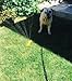 WATERBONE: First Water Sprinkler for Dogs!