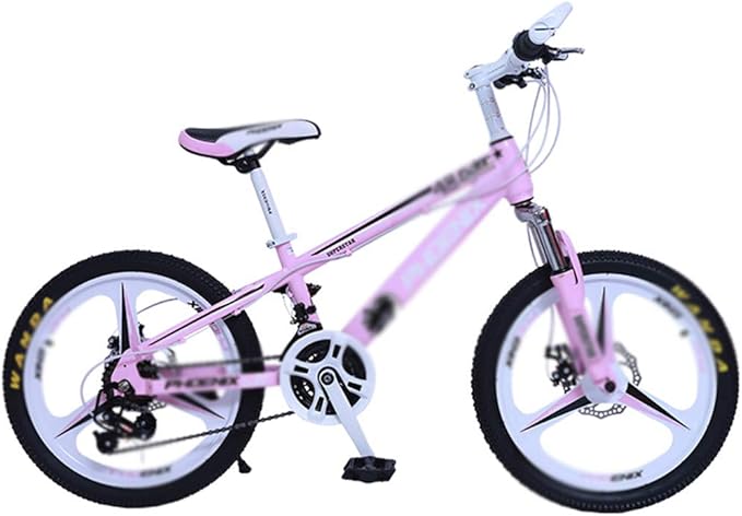 bicycle transmission system