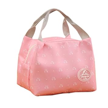 Fantiff Caja de almacenamiento para picnic, bolsa de almuerzo ...