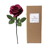 Camellia Bees 1st Year Wedding, Paper Rose in Gift