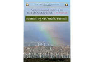 Something New Under the Sun: An Environmental History of the Twentieth-Century World (The Global Century Series Book 0)